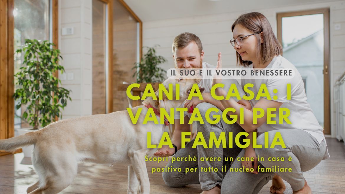 Cani a casa: 5 vantaggi per ogni membro della famiglia